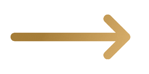 Arrow Gold Sticker by MANSCAPED