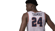 Basketball College Sticker by Carson-Newman Athletics