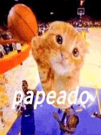 Luis5Spsplit GIF
