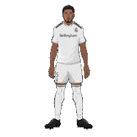 Real Madrid Football Sticker by Panini America