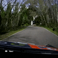 Car Crash Exit GIF by FIA European Rally Championship