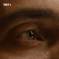 Look GIF by TRT