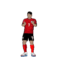 World Cup Football Sticker by Panini America