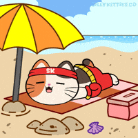 Relaxing Summer Time GIF by Silly Kitties
