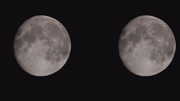 Art Video GIF by jorgemariozuleta