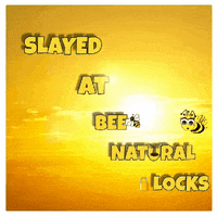 BeeNaturalLocks bee natural locks beenaturallocks GIF