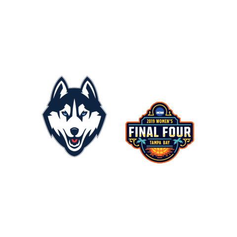 uconnhuskies march madness wbb huskies Sticker