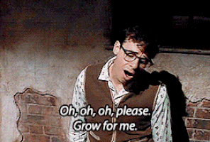 little shop of horrors GIF