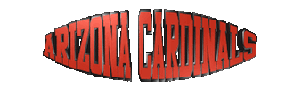 Arizona Cardinals Football Sticker by GIPHY Text