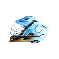 Loggerheads Sticker by SweetlaxCharleston