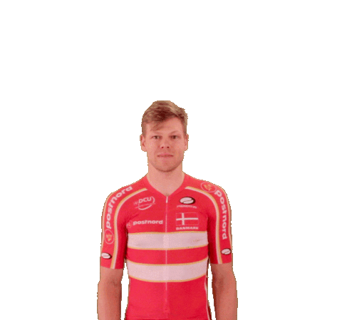 Cycling Denmark Sticker by Team Danmark