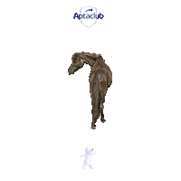 Horse12 Sticker by AptaclubKR