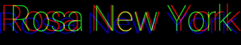 RosaNewYork rosany rosanewyork GIF