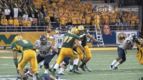 north dakota state bison GIF by NDSU Athletics