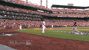 st. louis cardinals postseason GIF by MLB