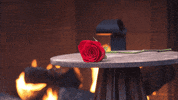 Fire Love GIF by The Bachelor