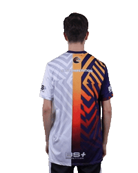 Esports Zebra Sticker by BS+COMPETITION