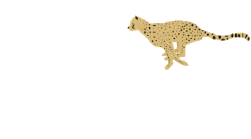 Cheetah Sticker by Toronto Zoo