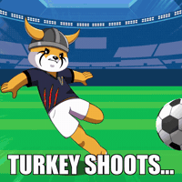 World Cup Football GIF by FLOKI