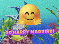 Go Harry Maguire!