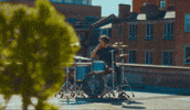 The Home Team Cat GIF by Thriller Records