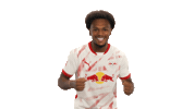 Rb Leipzig Cheering Sticker by Bundesliga