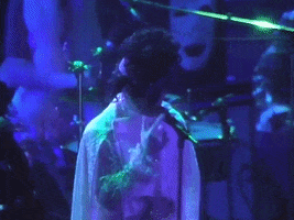 the revolution prince GIF