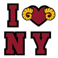 Football Basketball Sticker by Fordham University