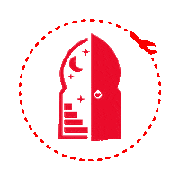 Travel Aeroplane Sticker by Red Door Tours