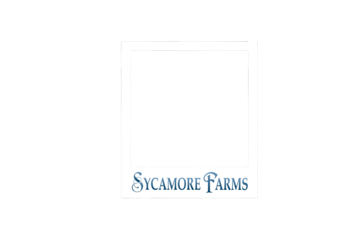 Oklahoma City Ok Sticker by Vesta Realty