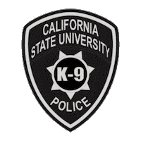 law enforcement glock Sticker by CSUFPD
