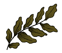 Flower Plant Sticker by anja sturm