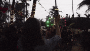 Always Summer GIF by Bira 91