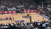 GIF by NBL