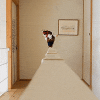 Link Mateys GIF