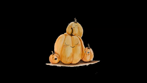 Victoriya_Kryzhko giphyupload pumpkin виктория крыжко sweetautumn GIF