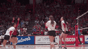 Happy Wisconsin Volleyball GIF by Wisconsin Badgers