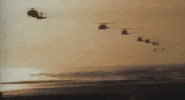 roberto duran trailer GIF by I Am Duran