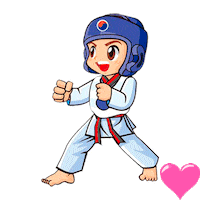 FacuGallione memes del taekwondo tkd Sticker