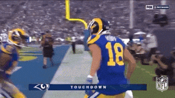 2018 Nfl Football GIF by NFL