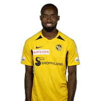 Super League Football Sticker by BSC Young Boys