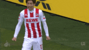 football soccer GIF by 1. FC Köln