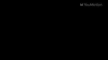 Logo intro animation pro animation