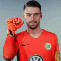 Salt Bae Goodbye GIF by VfL Wolfsburg