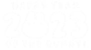 Chinese New Year Bunny Sticker by rainydayink