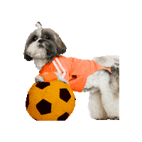Dog Soccer Sticker by Avonturia
