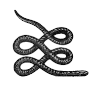 Snake Choses Sauvages Sticker by Audiogram