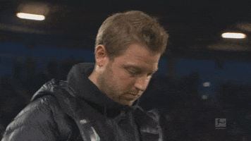 sv werder bremen bundesliga GIF
