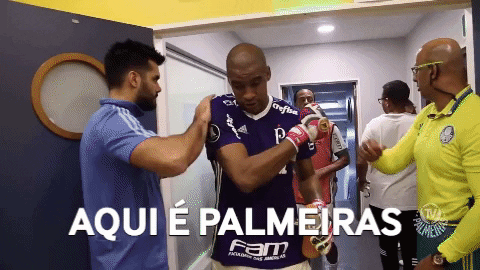 jailson GIF by SE Palmeiras