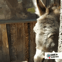 Bye Bye Goodbye GIF by SWR Kindernetz